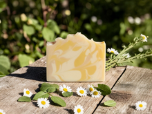 Load image into Gallery viewer, Koala Bear Lemon Goat Milk Soap