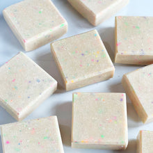 Load image into Gallery viewer, Life of the Party Salt Soap
